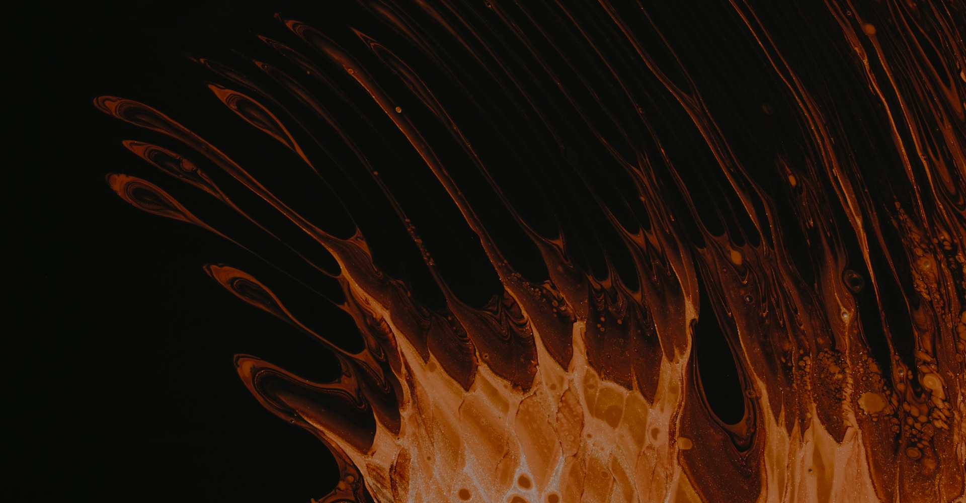 TikTok Kampanya Stratejisi